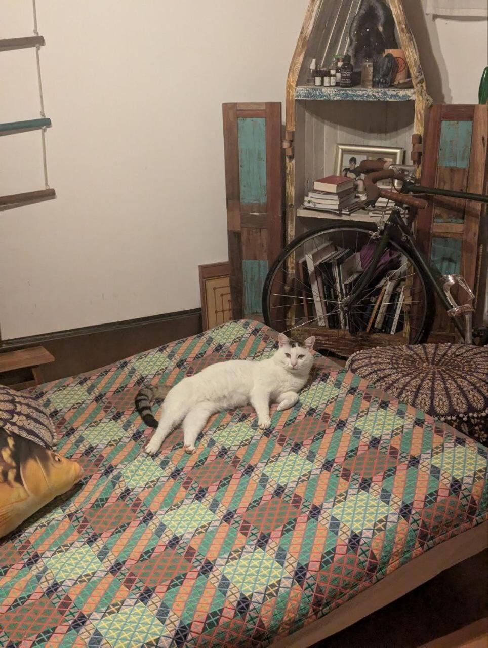 Chalet Sul Trasimeno Sant'Arcangelo  ภายนอก รูปภาพ