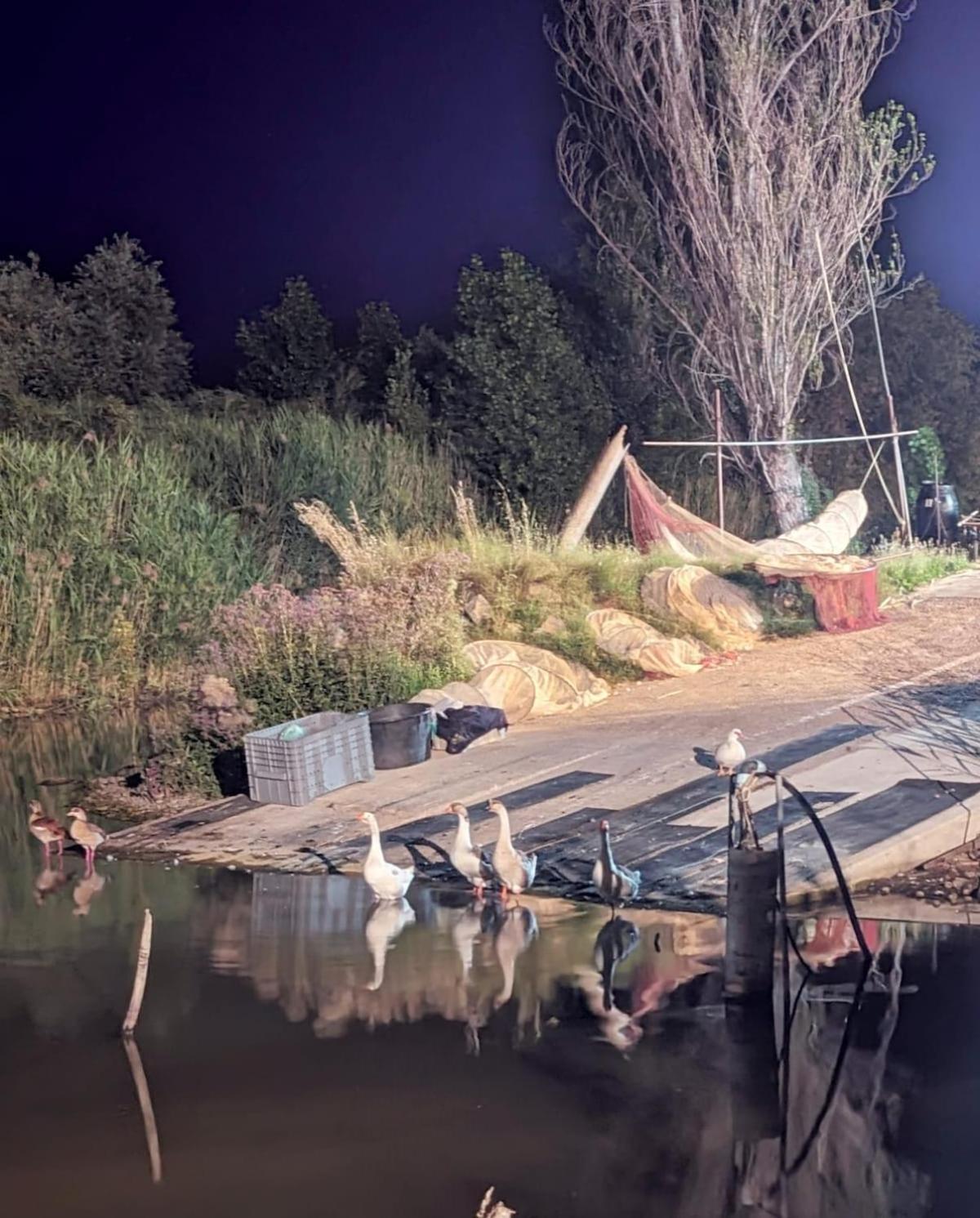 Chalet Sul Trasimeno Sant'Arcangelo  ภายนอก รูปภาพ